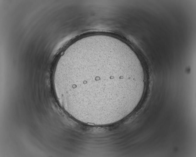 X0000116771307201001071208