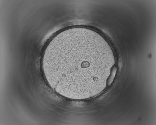 X0000116771309201001071208