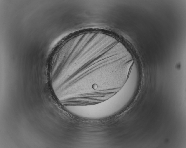 X0000116771310201001071208