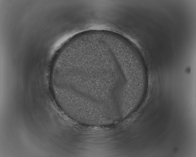 X0000116771311201001071208