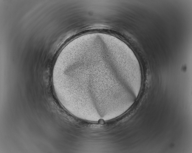 X0000116771313201001071208