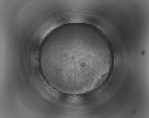 X0000116771314201001071208