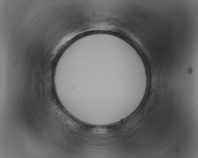 X0000116771315201001071208