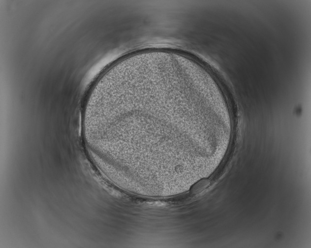 X0000116771317201001071208