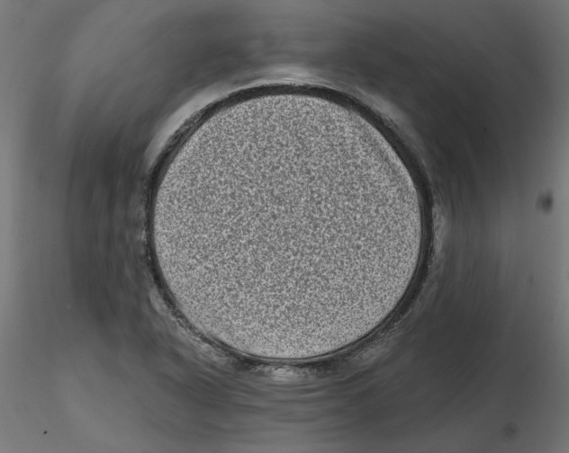 X0000116771318201001071208