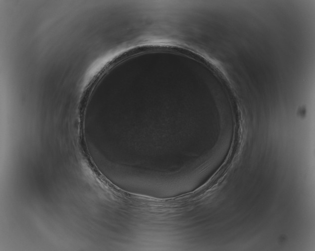 X0000116771319201001071208