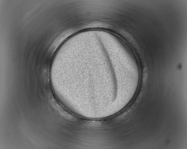 X0000116771321201001071208