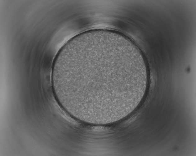 X0000116771322201001071208