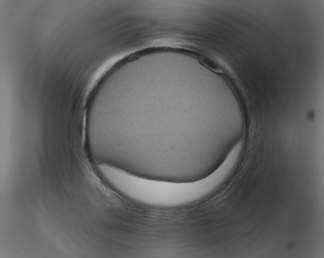 X0000116771323201001071208