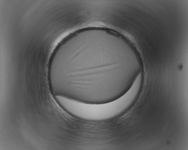 X0000116771326201001071208