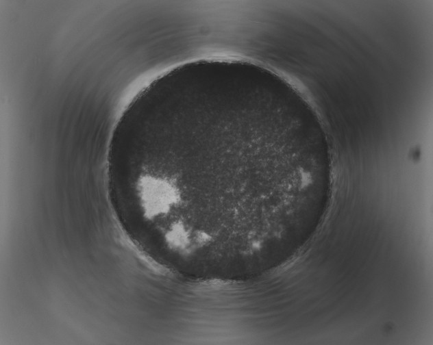 X0000116771327201001071208