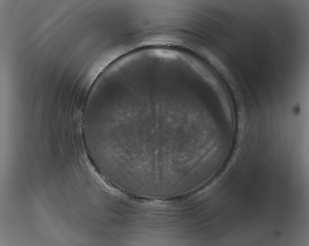 X0000116771329201001071208