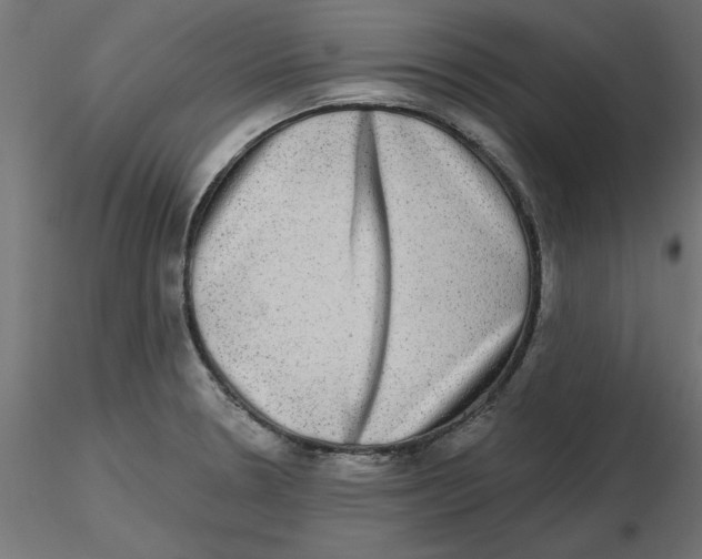 X0000116771330201001071208