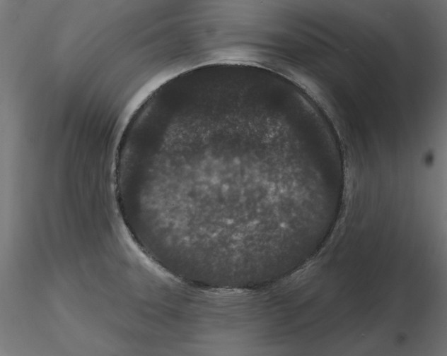 X0000116771331201001071208