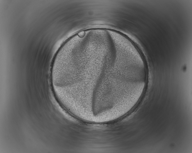 X0000116771333201001071208