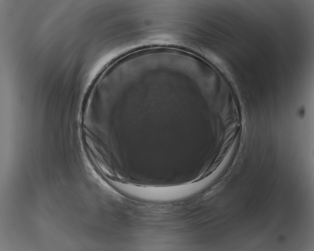 X0000116771334201001071208