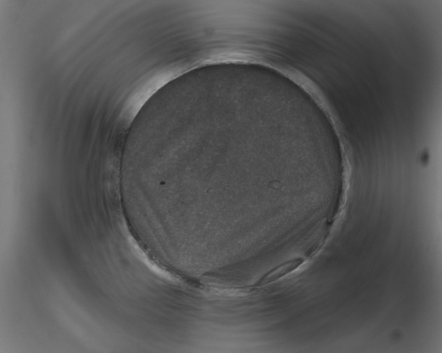 X0000116771337201001071208