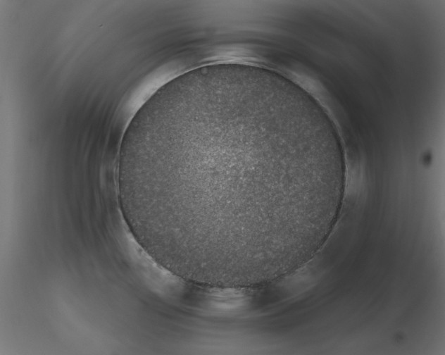 X0000116771338201001071208