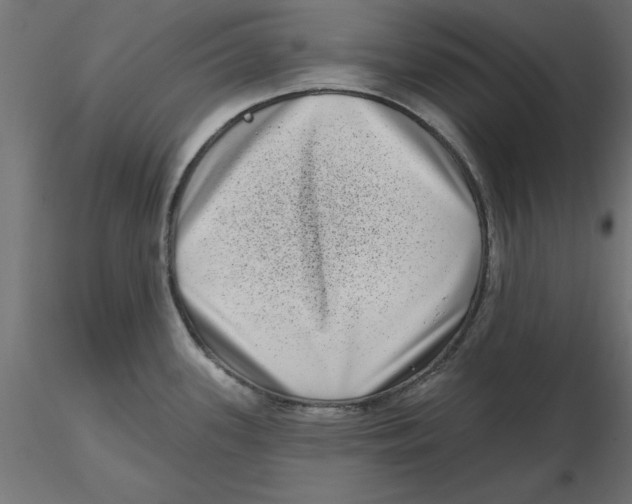 X0000116771339201001071208