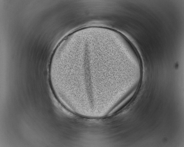 X0000116771341201001071208