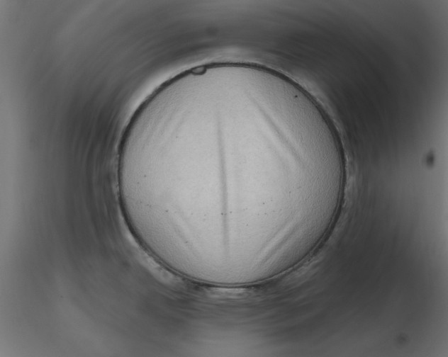 X0000116771342201001071208