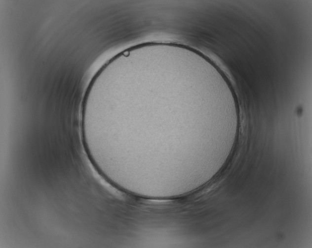 X0000116771343201001071208