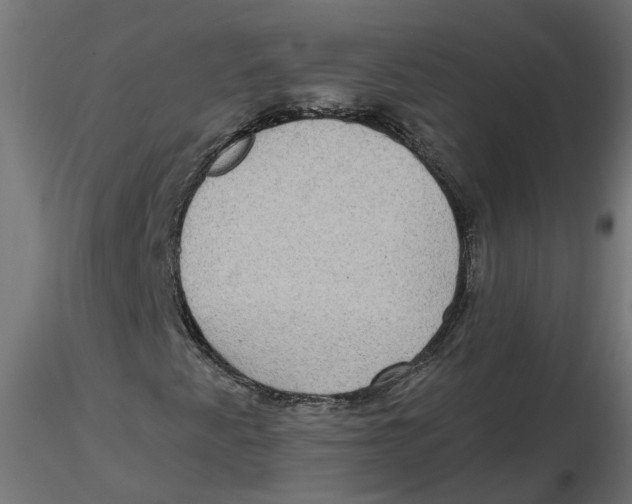 X0000116771345201001071207