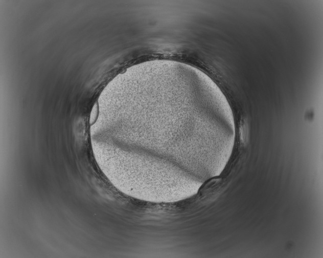 X0000116771347201001071207