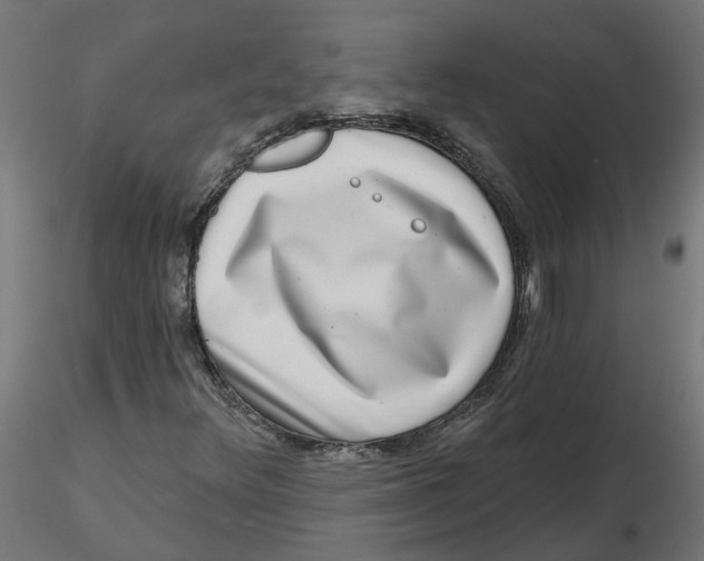 X0000116771348201001071207