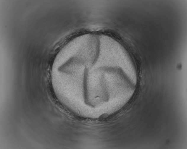 X0000116771349201001071207