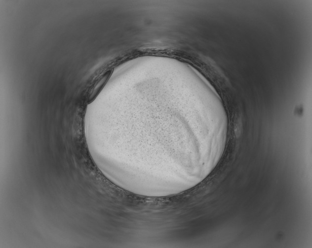 X0000116771350201001071207