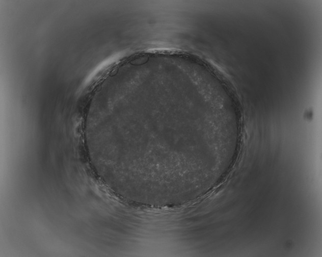 X0000116771351201001071207