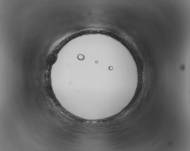 X0000116771352201001071207