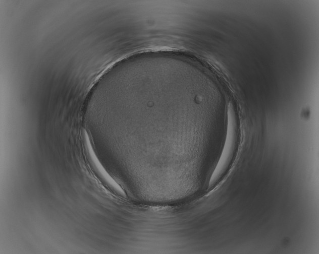 X0000116771353201001071207