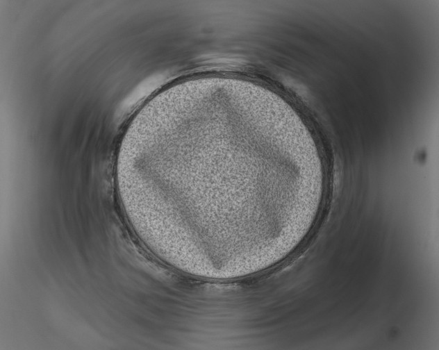 X0000116771354201001071207