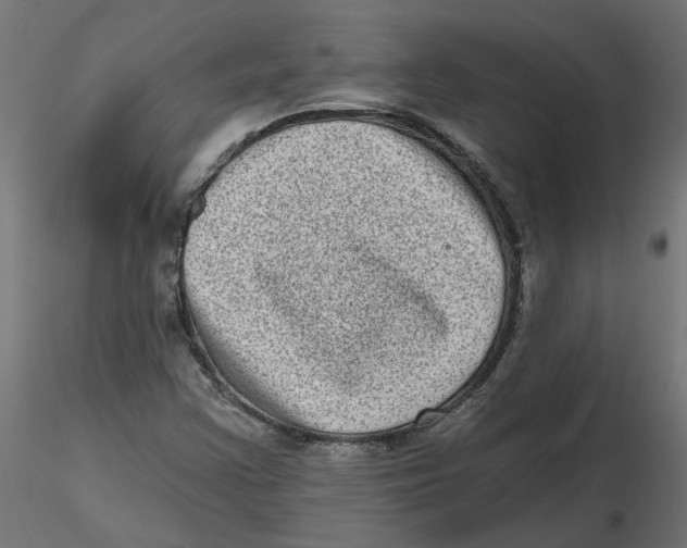 X0000116771355201001071207