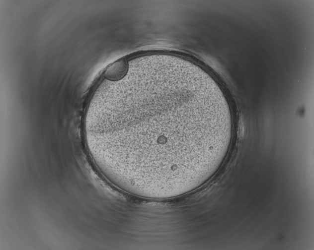 X0000116771356201001071207