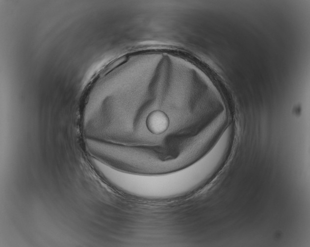 X0000116771357201001071207