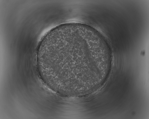 X0000116771358201001071207