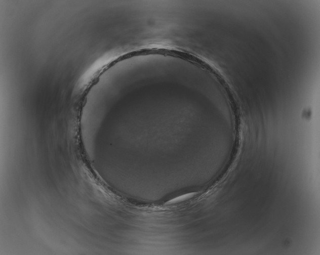 X0000116771359201001071207