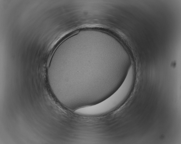 X0000116771361201001071207