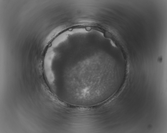 X0000116771362201001071207