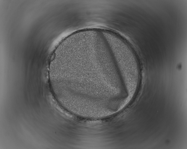 X0000116771363201001071207