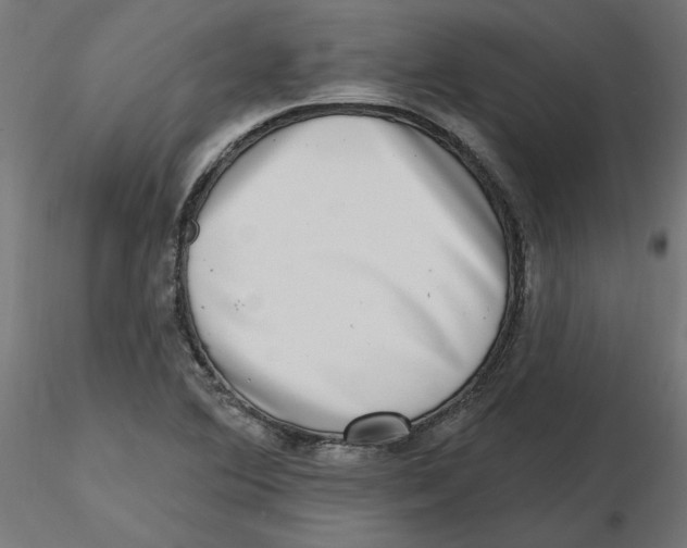 X0000116771364201001071207