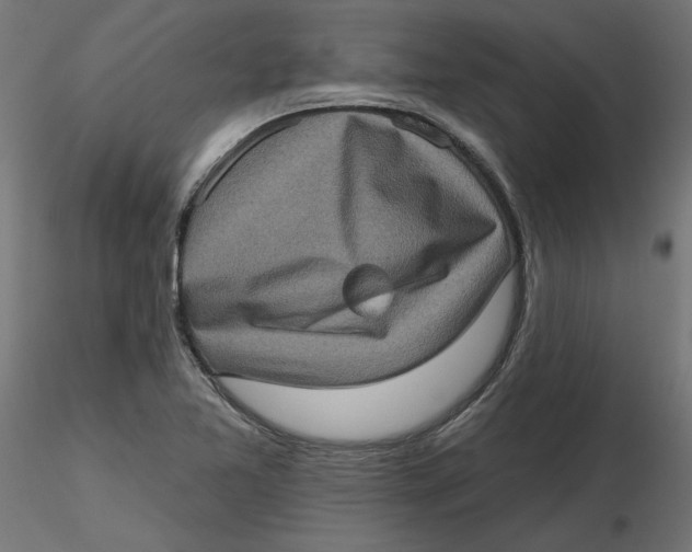 X0000116771365201001071207