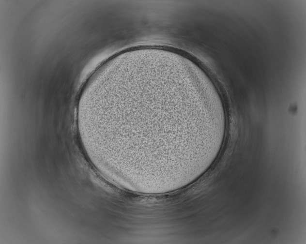 X0000116771366201001071207