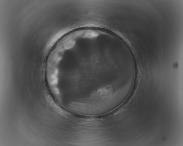 X0000116771367201001071207