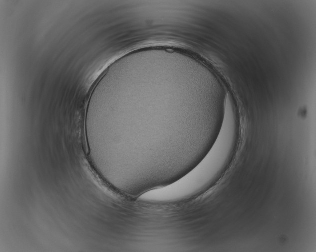 X0000116771369201001071207