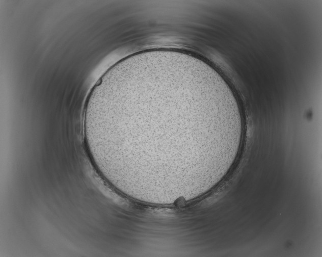 X0000116771370201001071207