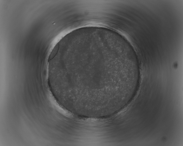 X0000116771371201001071207